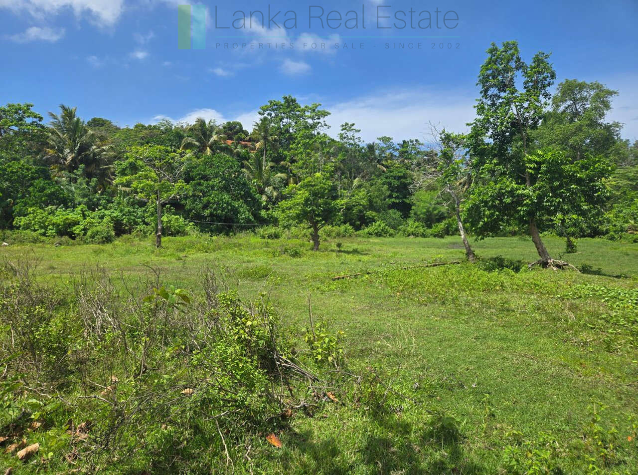 Large development plot twixt Mirissa and Weligama