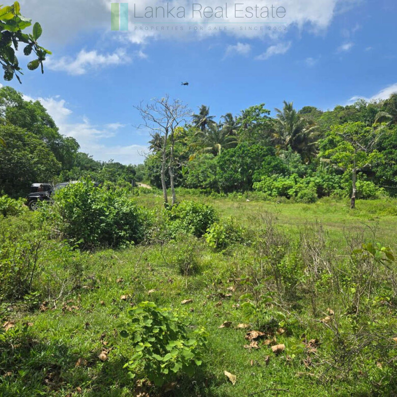 Large development plot twixt Mirissa and Weligama