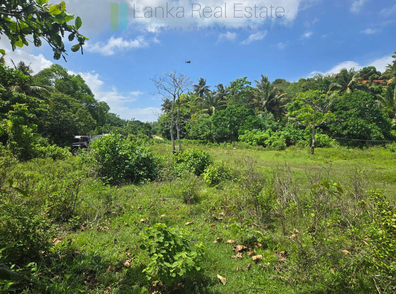 Large development plot twixt Mirissa and Weligama
