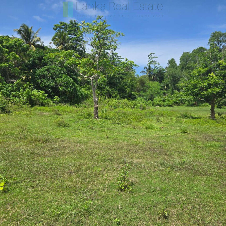 Large development plot twixt Mirissa and Weligama