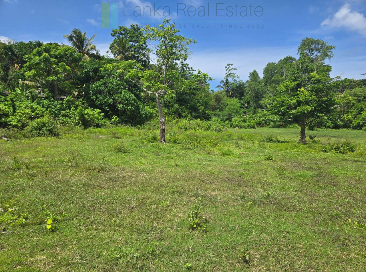 Large development plot twixt Mirissa and Weligama
