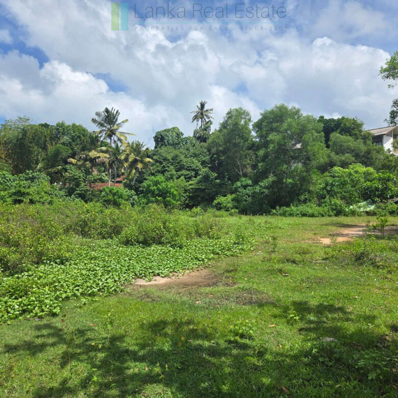 Large development plot twixt Mirissa and Weligama