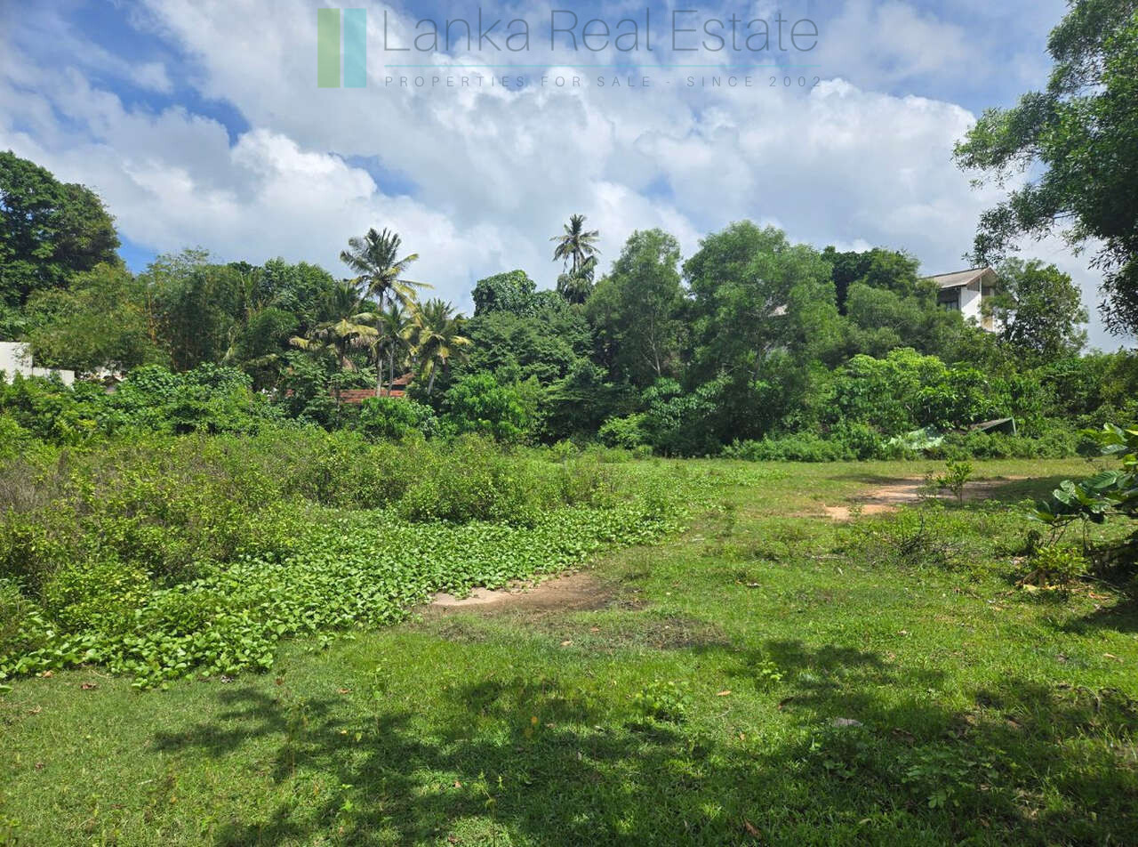 Large development plot twixt Mirissa and Weligama