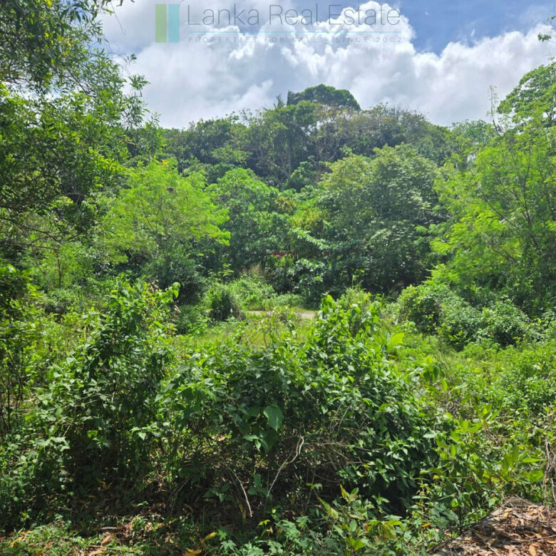 Large development plot twixt Mirissa and Weligama