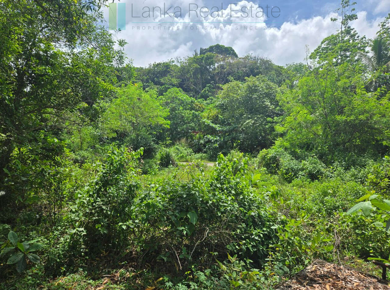 Large development plot twixt Mirissa and Weligama
