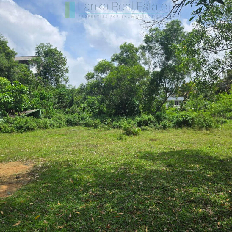 Large development plot twixt Mirissa and Weligama