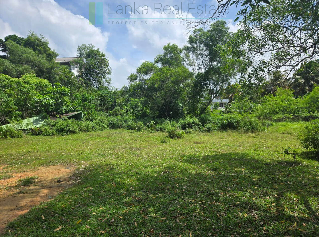 Large development plot twixt Mirissa and Weligama
