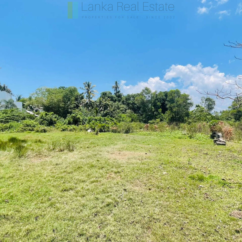 Large development plot twixt Mirissa and Weligama