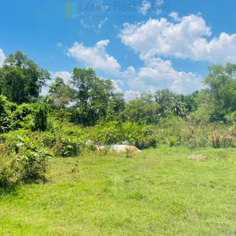 Large development plot twixt Mirissa and Weligama