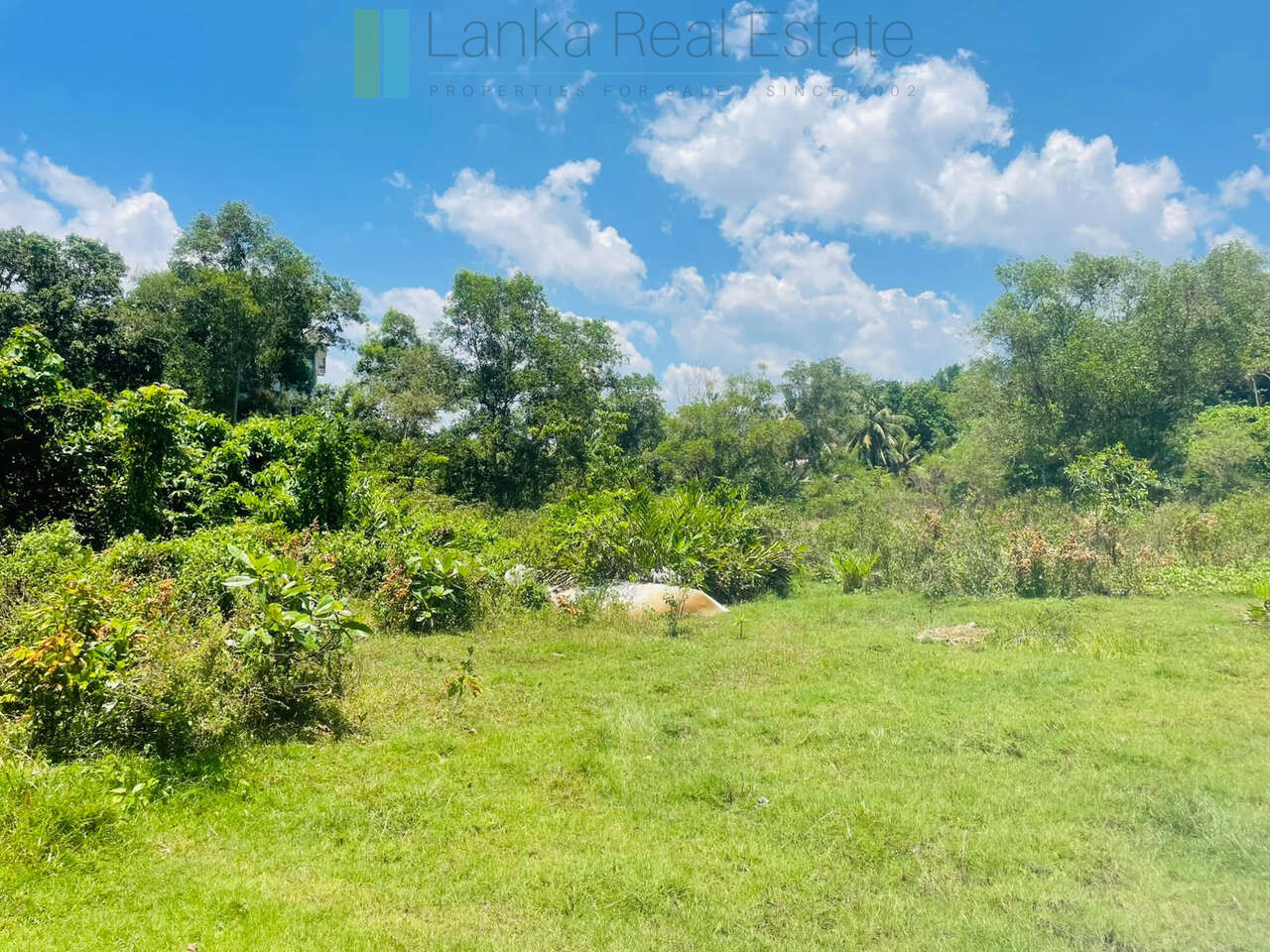 Large development plot twixt Mirissa and Weligama