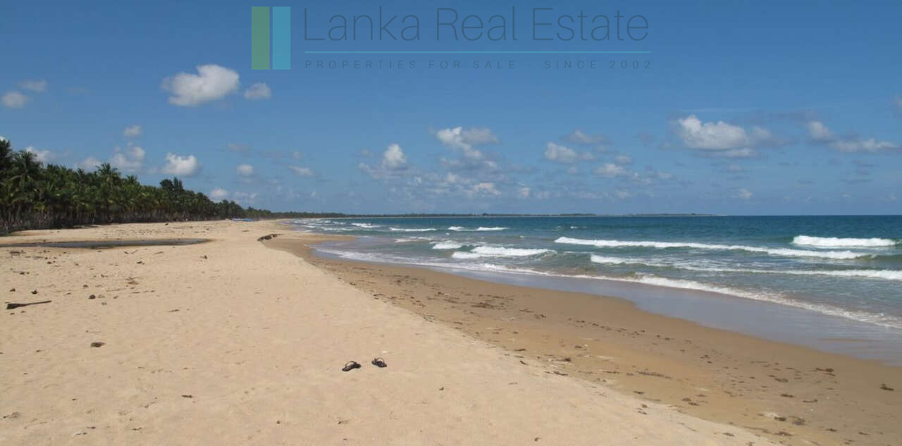 Exclusive building plots on pristine East Coast beach
