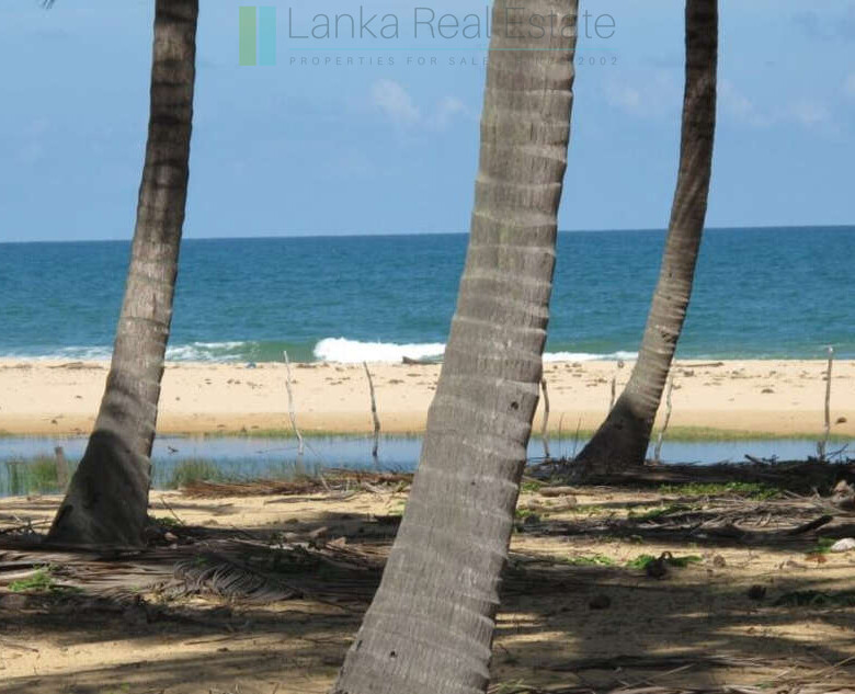 Exclusive building plots on pristine East Coast beach
