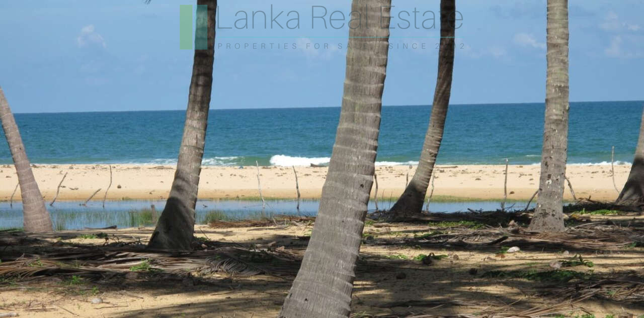 Exclusive building plots on pristine East Coast beach