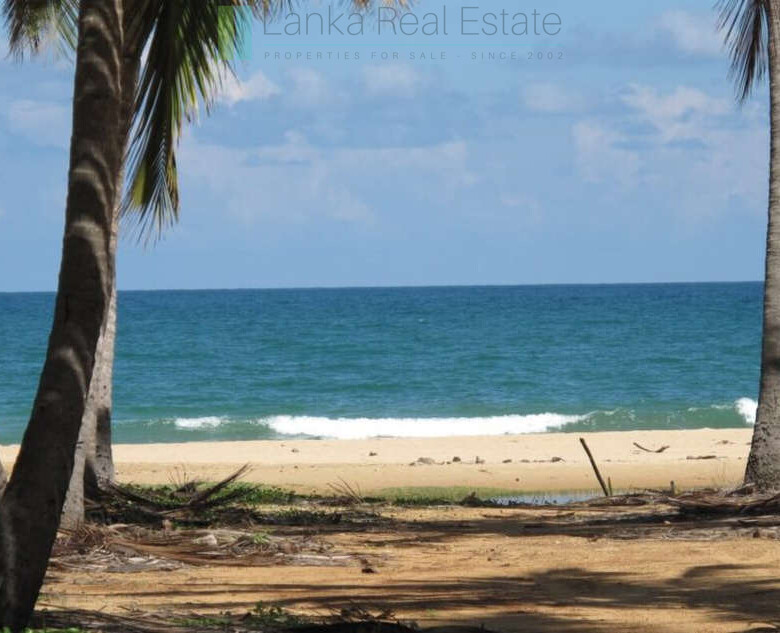 Exclusive building plots on pristine East Coast beach