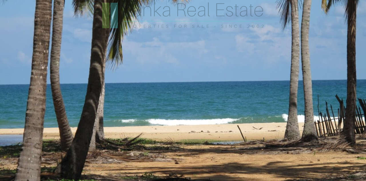 Exclusive building plots on pristine East Coast beach