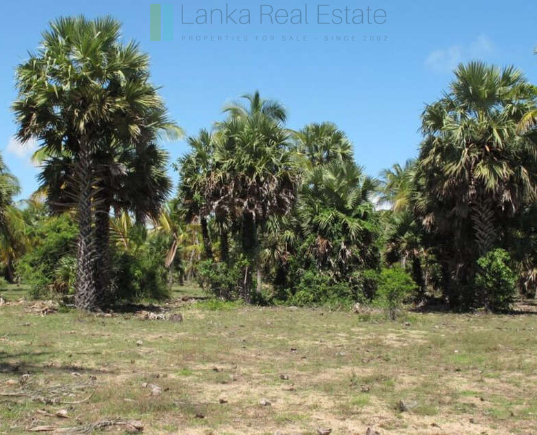 Exclusive building plots on pristine East Coast beach