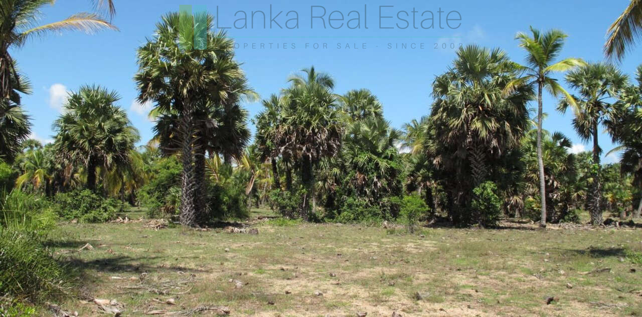 Exclusive building plots on pristine East Coast beach