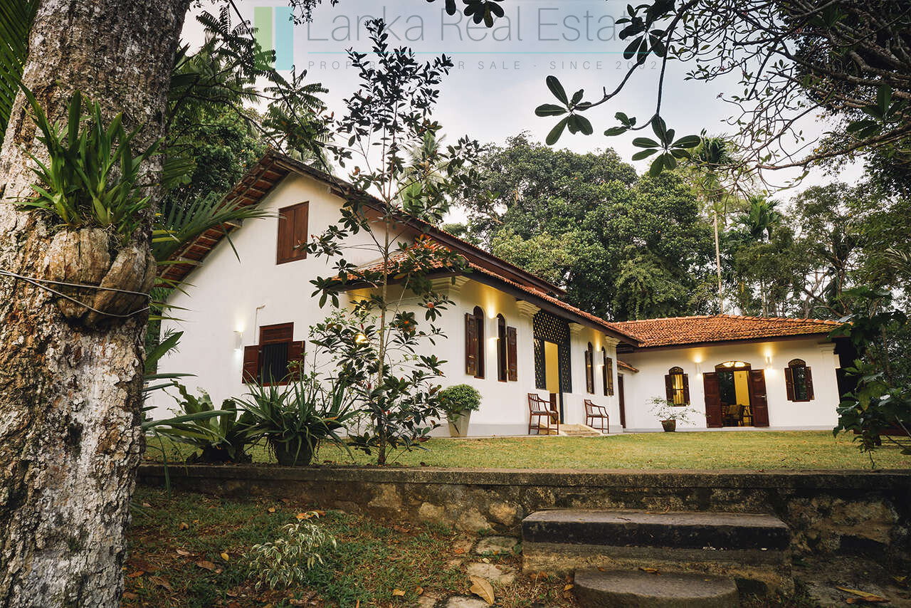 Stylishly renovated colonial villa