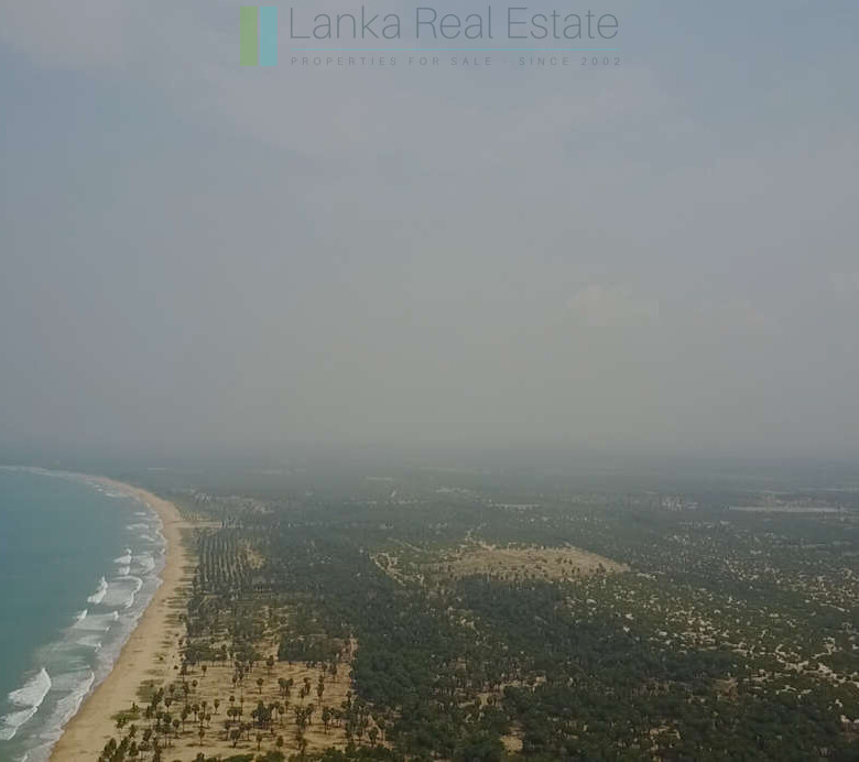 Exclusive building plots on pristine East Coast beach