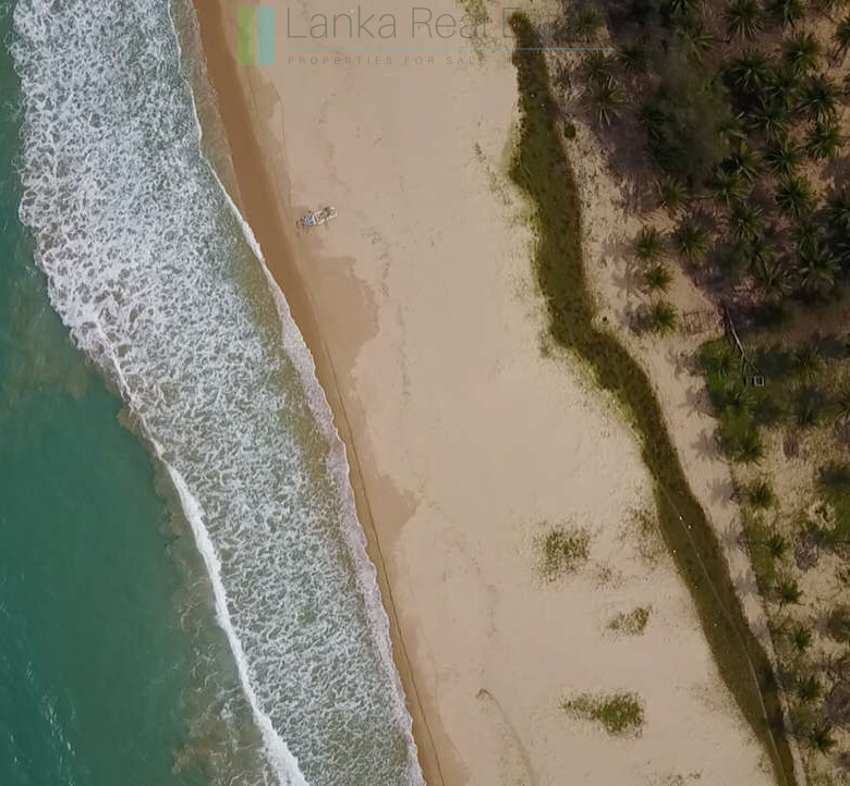 Exclusive building plots on pristine East Coast beach