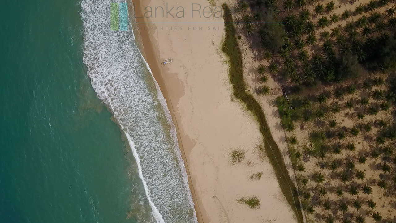 Exclusive building plots on pristine East Coast beach