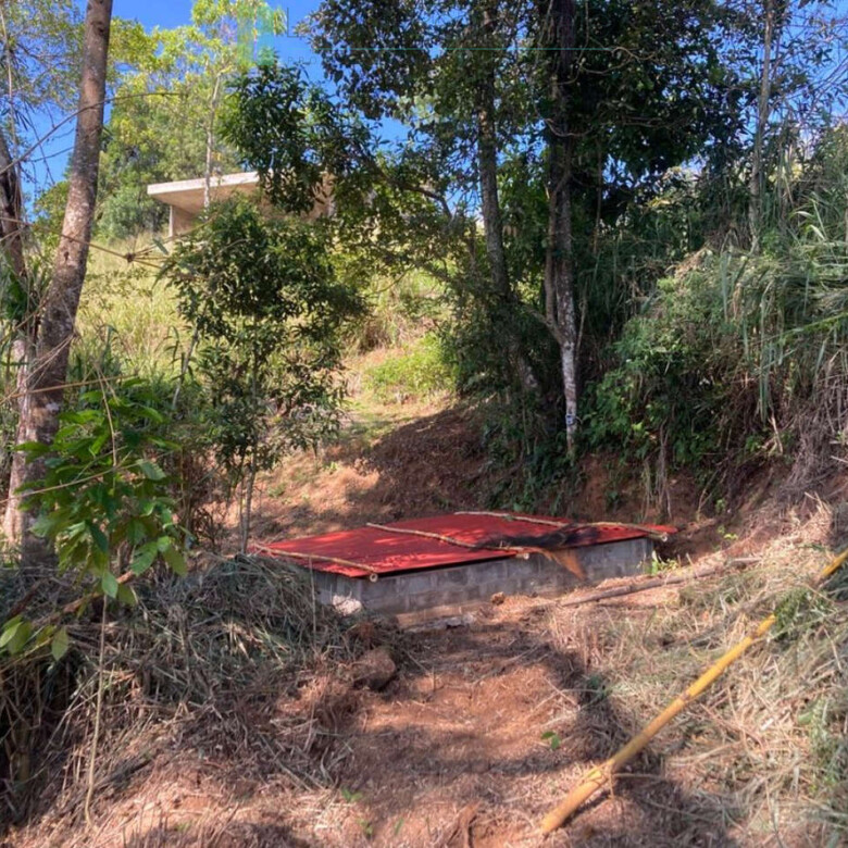 Working diversified plantation near Ulapane