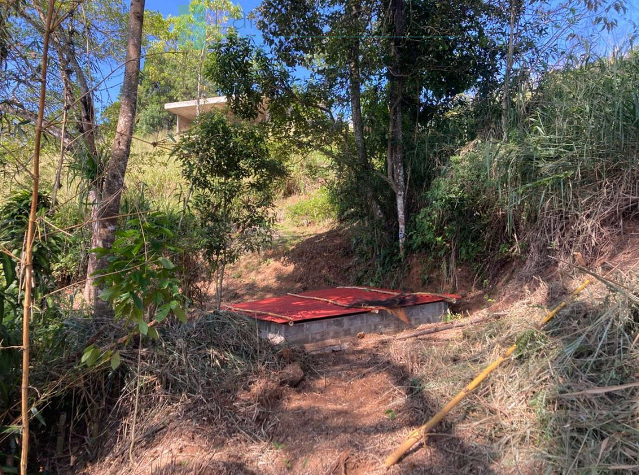 Working diversified plantation near Ulapane