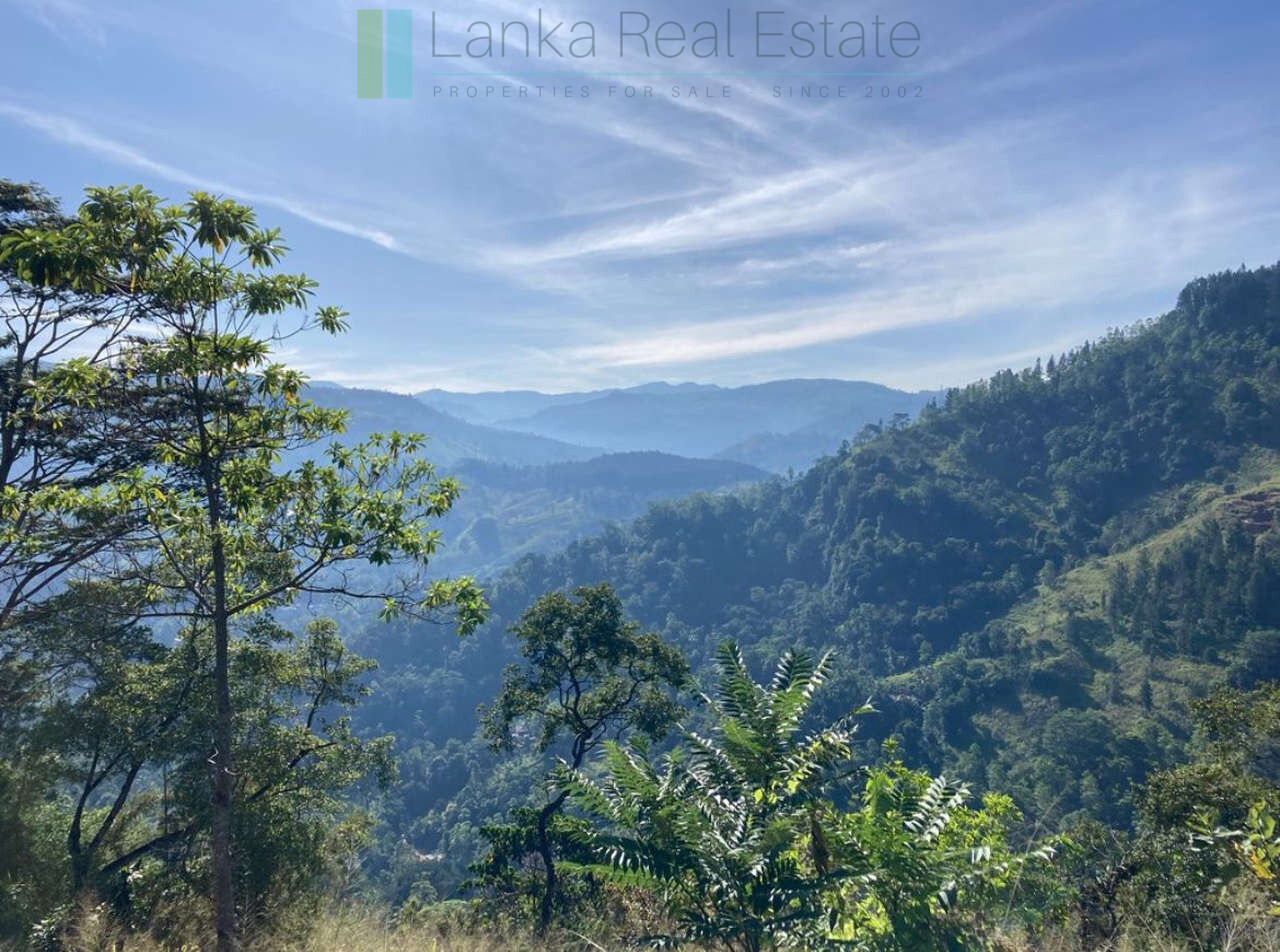 Working diversified plantation near Ulapane
