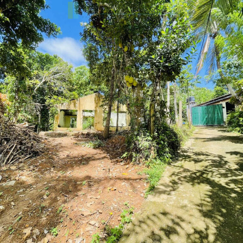 Elevated building plot in Meepe