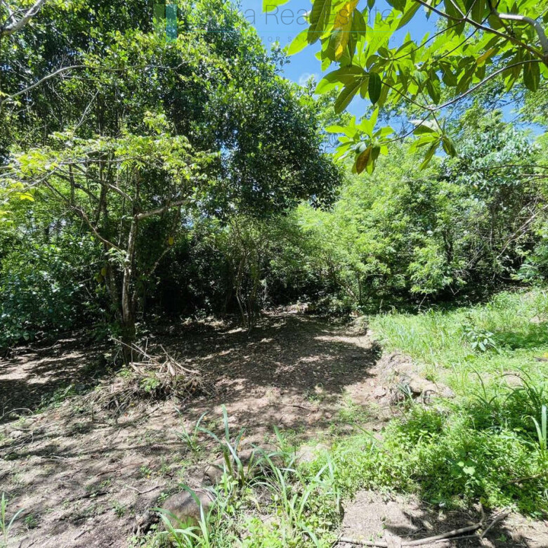 Elevated building plot in Meepe