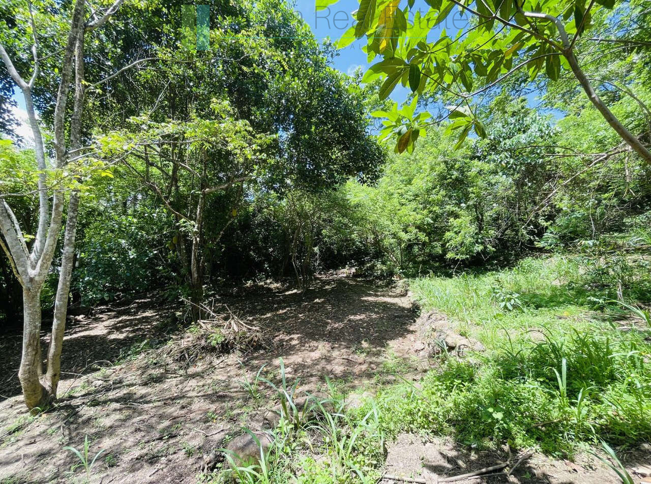 Elevated building plot in Meepe