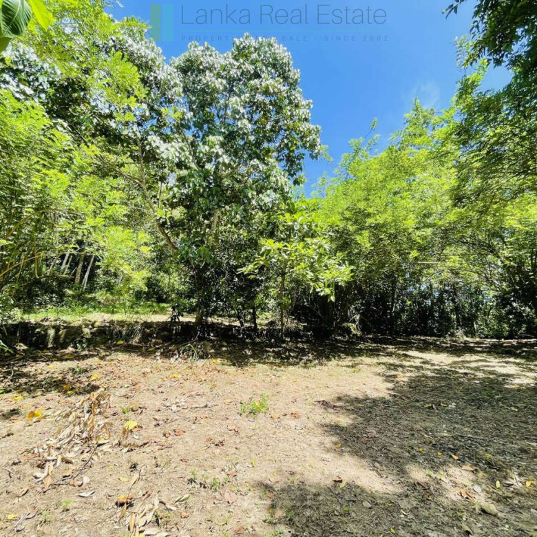 Elevated building plot in Meepe