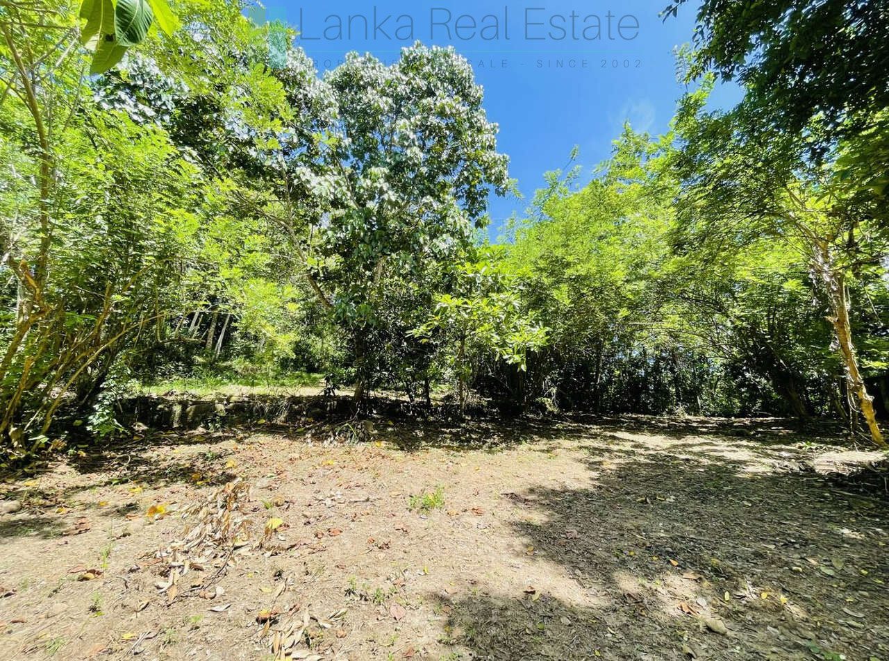 Elevated building plot in Meepe