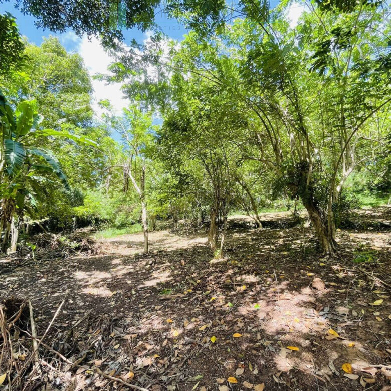 Elevated building plot in Meepe