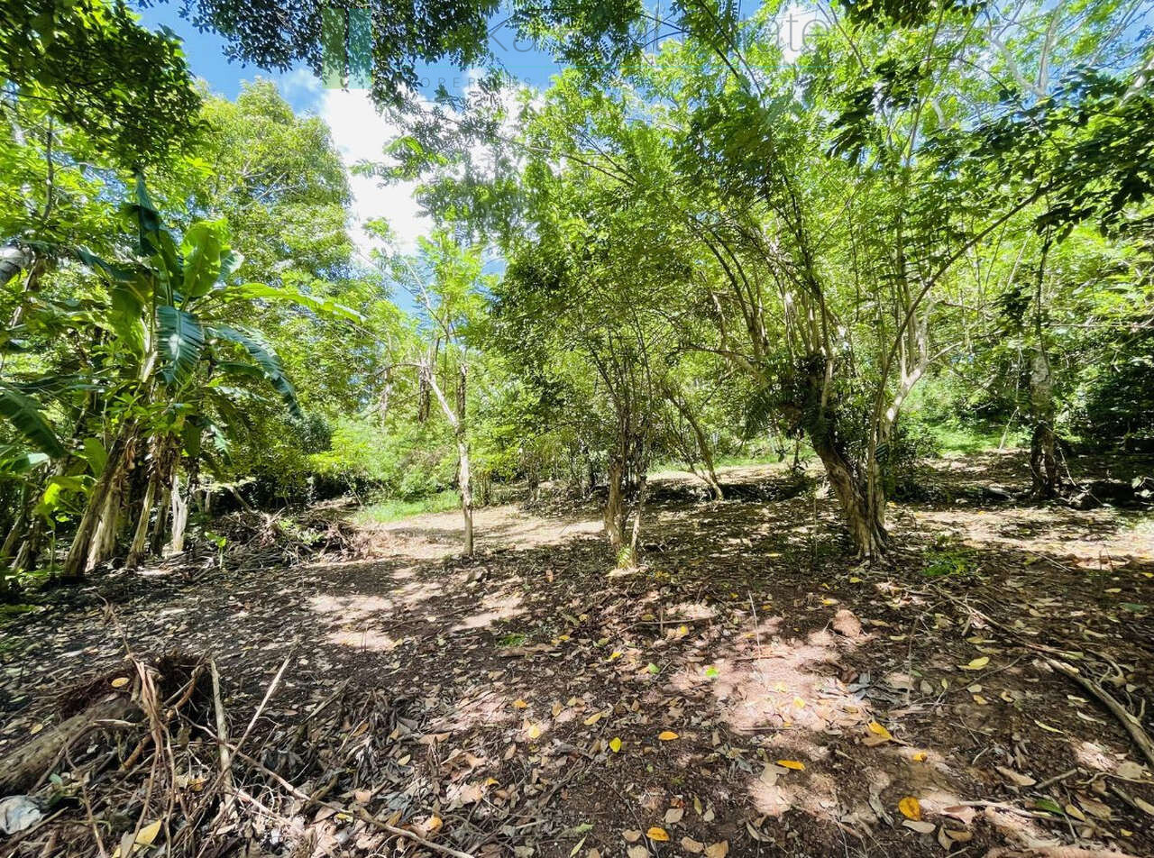 Elevated building plot in Meepe
