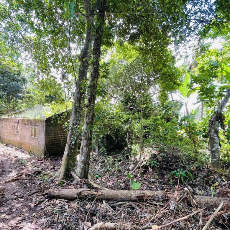 Elevated building plot in Meepe