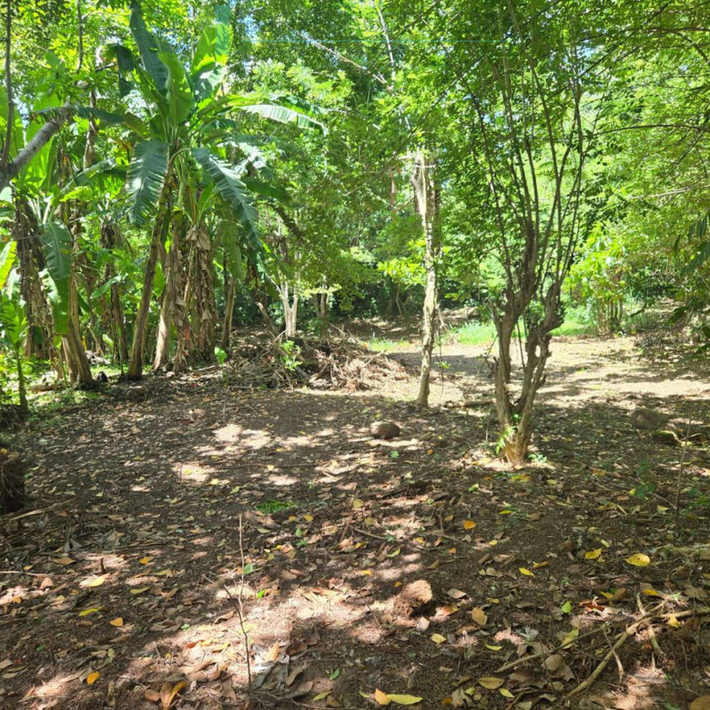 Elevated building plot in Meepe