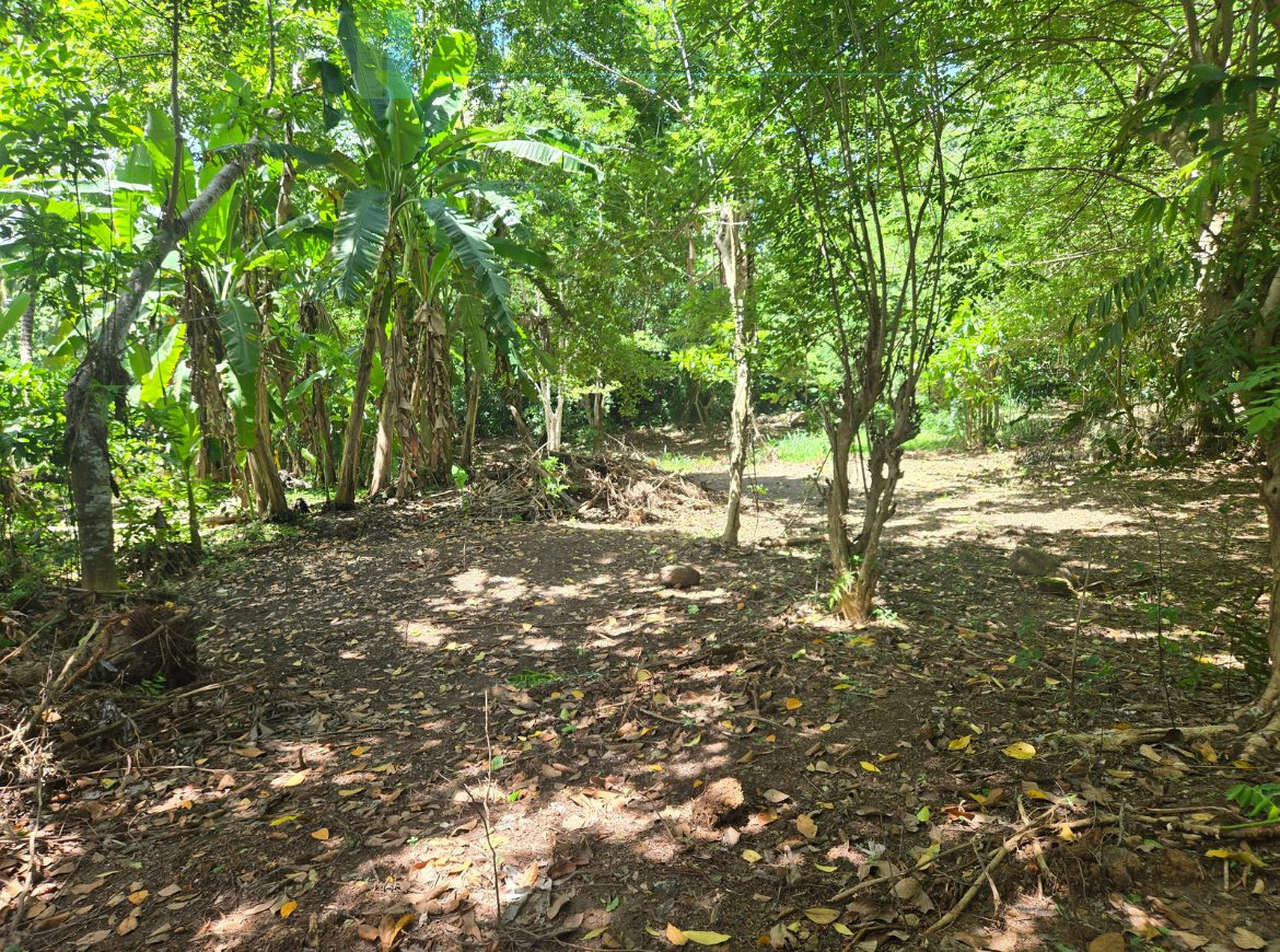 Elevated building plot in Meepe