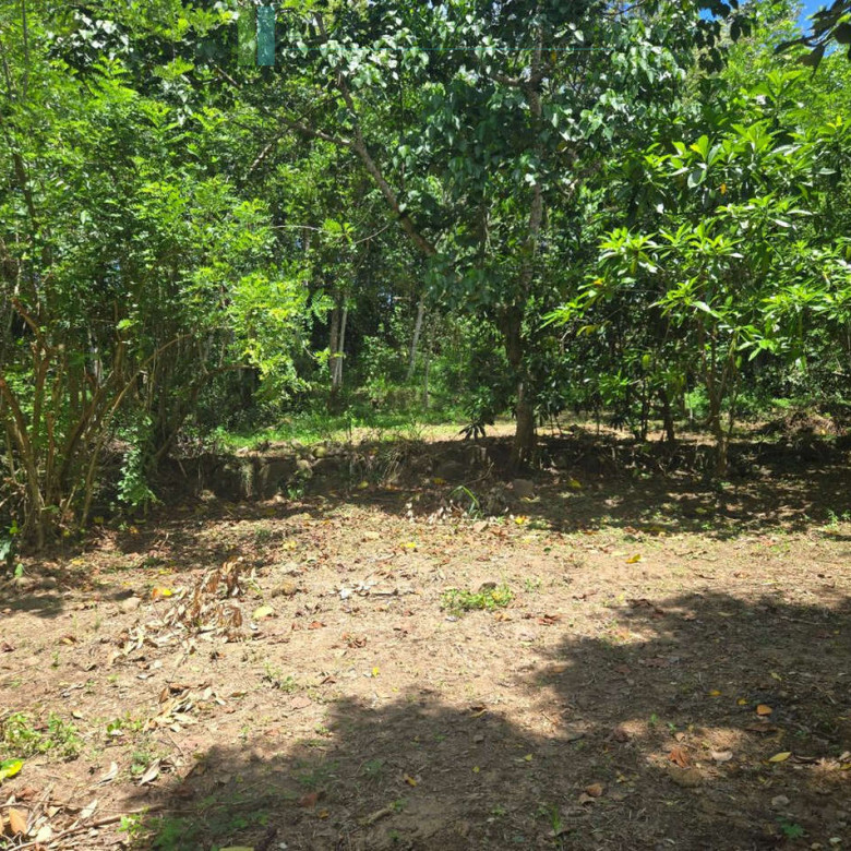 Elevated building plot in Meepe