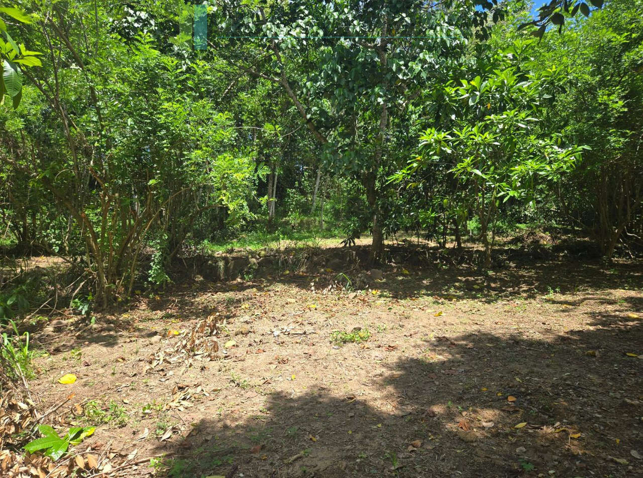 Elevated building plot in Meepe