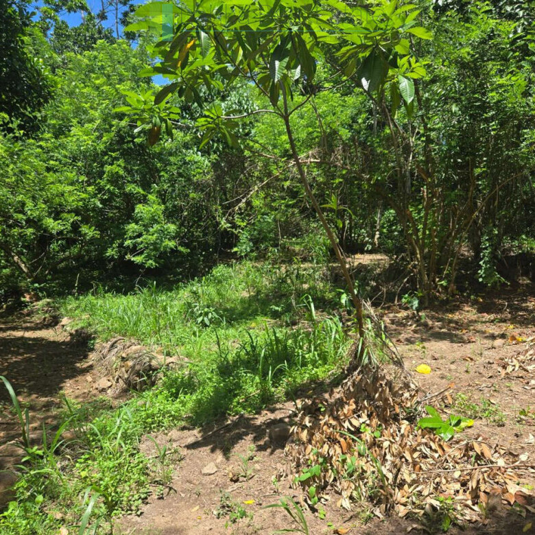 Elevated building plot in Meepe