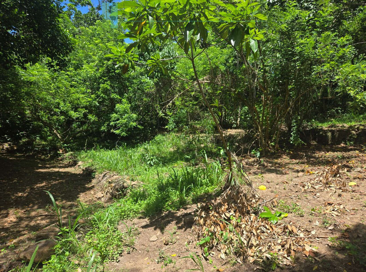 Elevated building plot in Meepe