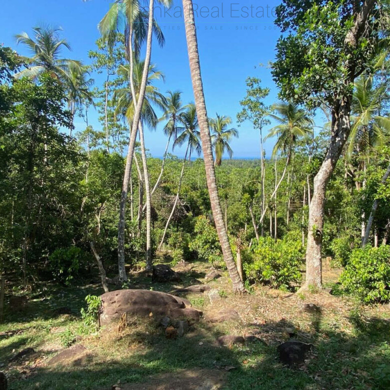 Seaview hilltop near Habaraduwa