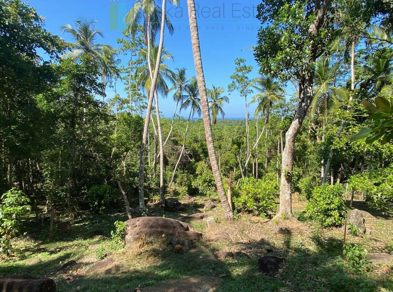 Seaview hilltop near Habaraduwa
