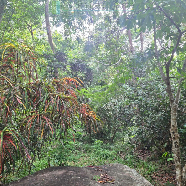 Seaview hilltop near Habaraduwa