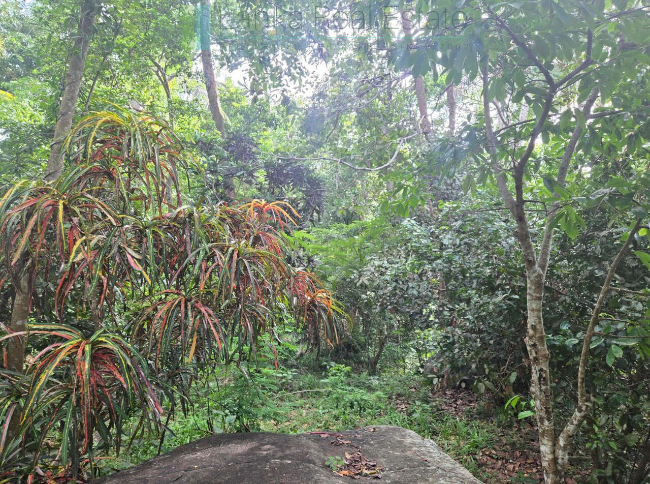 Seaview hilltop near Habaraduwa