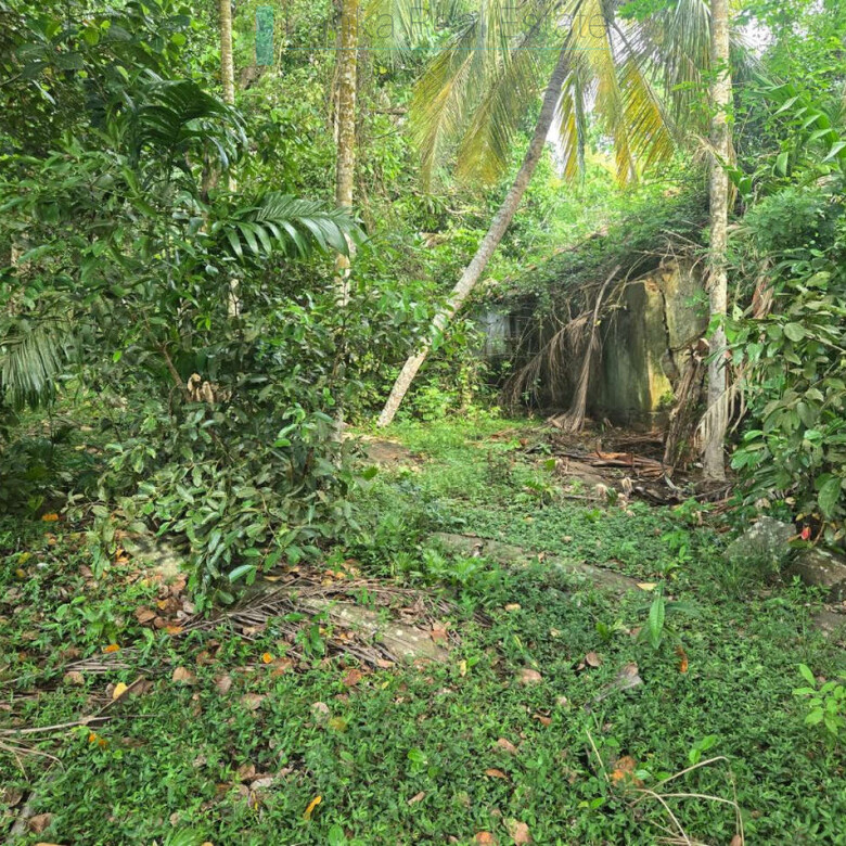 Seaview hilltop near Habaraduwa