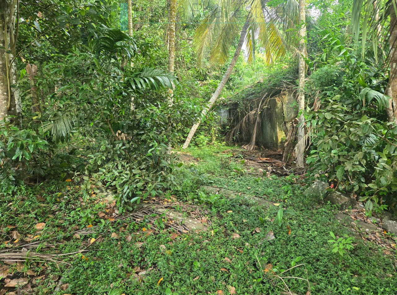Seaview hilltop near Habaraduwa