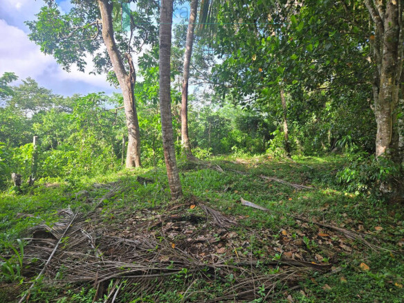 Seaview hilltop near Habaraduwa