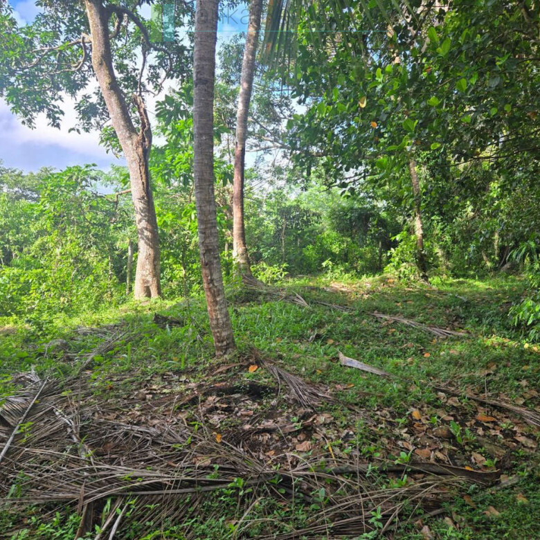 Seaview hilltop near Habaraduwa
